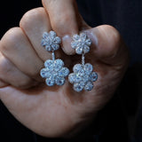 Elegant Crystals Woman Earring E001