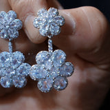 Elegant Crystals Woman Earring E001