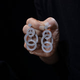 Elegant Crystals Woman Earring E005